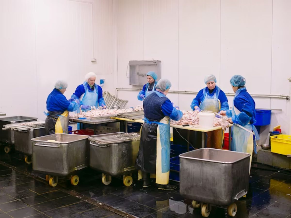 Standar Kebersihan Tinggi: Peran Cleanroom for Food Industries dalam Produksi Makanan yang Aman