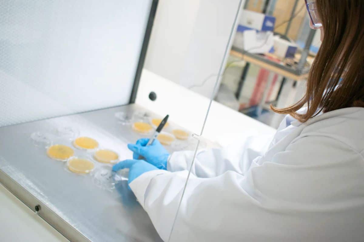 Peran Filter Udara dalam Mengurangi Kontaminasi di Industri Farmasi